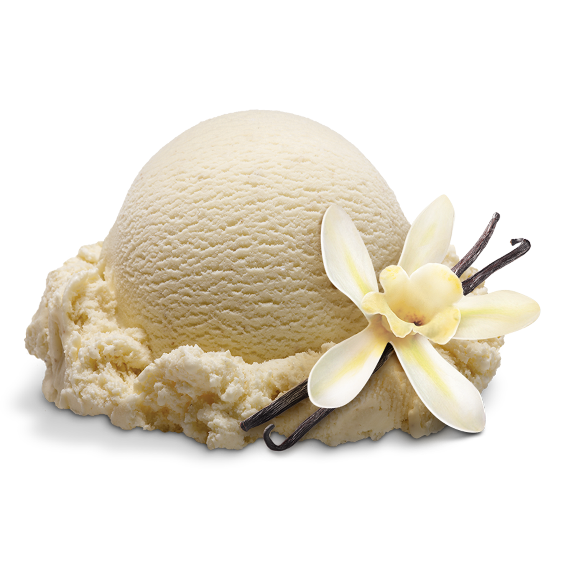 Bulk ice online cream scoops